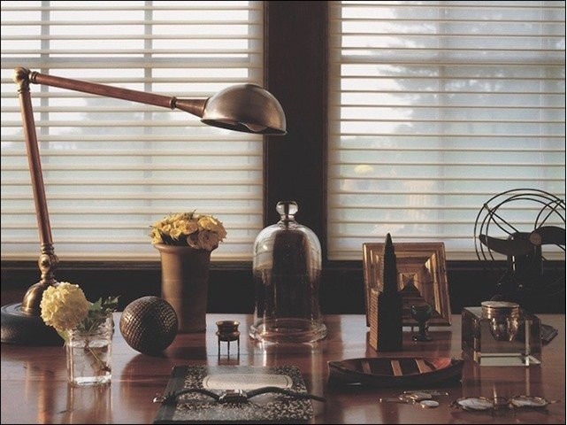 Hunter Douglas Dealer Image